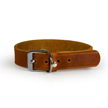 The Leather Collar Weinheim Brown leather pet collar with a silver buckle and adjustable holes, displayed on a white background.