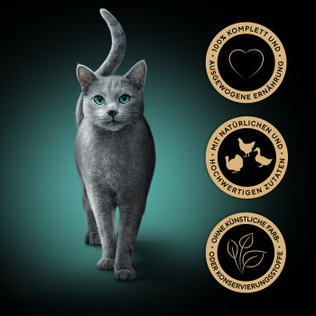 Graue Katze mit grünen Augen; drei goldene Siegel: vollständige Ernährung, natürliche Zutaten, keine künstlichen Farbstoffe oder Konservierungsstoffe.