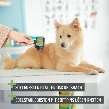 Eine Person bürstet einen hellbraunen Pomeranian mit einer doppelseitigen Bürste. Text: "Weiche Bürsten glätten das Deckhaar."