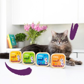 Un chat gris duveteux est assis sur un comptoir à côté de quatre contenants de nourriture pour chats Edgard & Cooper colorés : dinde, agneau, saumon, et poulet.