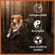 Ein Hund, der auf einem Baumstamm im Wald ruht, mit Symbolen und Text, die die Zahngesundheit, beruhigende Effekte und keine künstlichen Zusatzstoffe hervorheben.