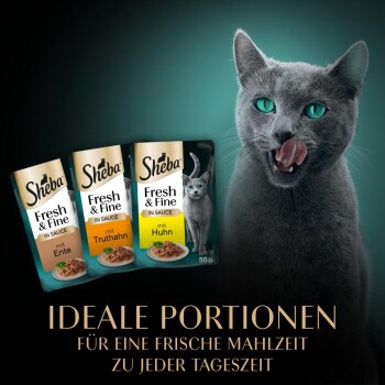 Eine graue Katze leckt sich die Lippen neben drei Sheba Katzenfutterbeuteln: Enten-, Truthahn- und Hühnergeschmack.