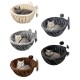 Fünf plüschige Katzenbetten in verschiedenen Farben (creme, grau, dunkelgrau, braun, schwarz) mit einem baumelnden Spielzeug, jeweils mit einer entspannten Katze.
