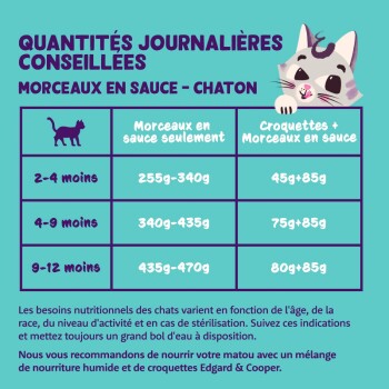 Graphique détaillant les recommandations alimentaires quotidiennes pour les chatons, montrant les quantités de nourriture humide et de nourriture sèche par groupe d'âge, avec une illustration de chat en dessin animé.