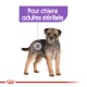 Image d'un petit chien hirsute avec une expression sérieuse, étiquetée 'Pour chiens adultes stérilisés' en texte violet.