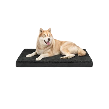 Ein hellfarbener Hund, der auf einem plüschigen schwarzen Haustierbett ruht, das ein gemütliches und komfortables Design zeigt.