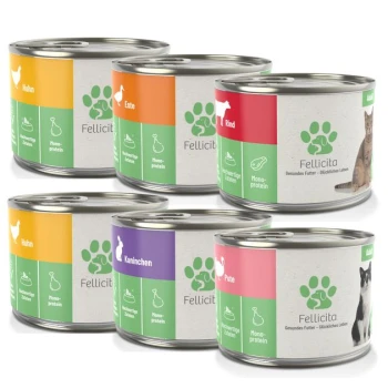 Sechs Dosen Fellicita Tiernahrung in den Geschmacksrichtungen: Huhn, Ente, Rind, Kaninchen, Truthahn, mit farbcodierten Etiketten für "Mono-Protein" und "Gesundes Futter."