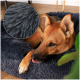 Ein entspannter Hund mit braunem Fell liegt auf einem plüschigen, dunkelblauen Hundebett, mit einer Nahaufnahme der weichen Stofftextur in der Ecke.