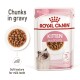 Royal Canin kitten food pouch featuring chunks in gravy, suitable for kittens up to 12 months, with a soft texture for milk teeth.