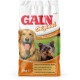 A 15kg bag of GAIN Original dog food featuring a golden retriever and a Yorkshire terrier on the front, with text highlighting its benefits.