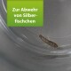 Silberfisch-Insekt in einem klaren Behälter mit einem grünen Etikett, das "Zur Abwehr von Silberfischchen" (Für Silberfischabwehr) liest.