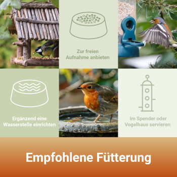 Vogelfütterungs-Collage mit Vögeln, Futterstellen und Wasser; deutsche Überschrift 'Empfohlene Fütterung' sowie Bildunterschriften zu Futter und Wasser.