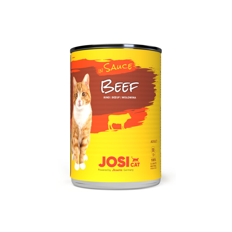 JosiCat Beef in Sauce