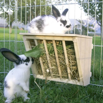 Enclos animalier pour lapins Parc d'intérieur petits animaux