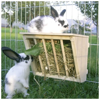 Zwei schwarz-weiße Kaninchen interagieren mit einem hölzernen Heufutterspender, der mit Heu und Blattgemüse gefüllt ist, in einem grasbewachsenen Außengehege.