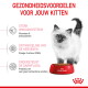 Wit kitten bij een rode Royal Canin-kom; Nederlandse tekst: 'Gezondheidsvoordelen voor jouw kitten' en drie voordeellabels.