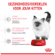Wit kitten bij een rode Royal Canin-kom; Nederlandse tekst: 'Gezondheidsvoordelen voor jouw kitten' en drie voordeellabels.