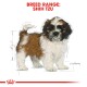 Illustration of a Shih Tzu puppy with brown and white fur, labeled "BREED RANGE: SHIH TZU" in bold red text.
