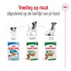 Royal Canin hondenvoeding producten afgestemd op verschillende levensfasen: Puppy (2-10 maanden), Mini Volwassen (10 maanden tot 8 jaar), en Mini Veroudering (8+ jaar).