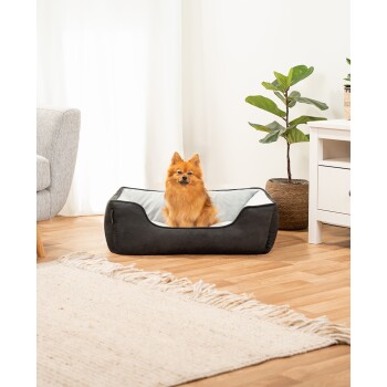 Ein flauschiger orangefarbener Pomeranian sitzt bequem in einem schwarz-grauen Haustierbett, umgeben von einer gemütlichen Wohnzimmeratmosphäre mit einer Pflanze und einem weißen Schrank.