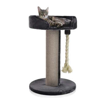 Eine graue getigerte Katze entspannt sich auf einem plüschigen, erhöhten Katzenbaum mit einem runden Sockel, der einen Kratzbaum und ein geflochtenes Seilspielzeug hat.