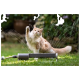 Flauschige orange-weiße Katze, die mit der Pfote nach einem Gartensprenger schlägt, der Wasser über grünes Gras sprüht.