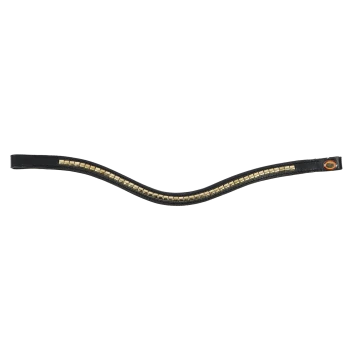 Schwarzes Leder-Haustierhalsband mit einem goldenen Nieten-Design entlang der Mitte, mit einem runden Anhänger an einem Ende.