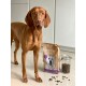 DOG’S LOVE Adult Agneau 2 kg