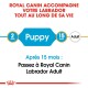 Labrador Retriever Chiot Croquettes Chien 12 kg