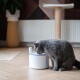 Eine graue Katze trinkt aus einem modernen weißen Haustier-Wasserbrunnen auf einem Holzboden, mit einer Pflanze und einem Kratzbaum im Hintergrund.