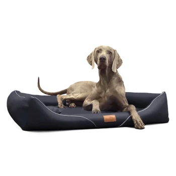 Weimaraner-Hund liegt auf einem schwarzen rechteckigen Haustierbett mit weißer Paspelierung und braunem Lederetikett.