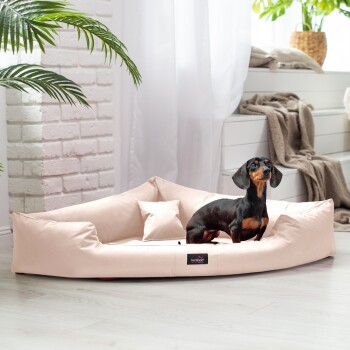 Ein schwarzer und brauner Dackel sitzt auf einem weichen, hellrosa Haustierbett mit erhöhten Rändern und einem kleinen Kissen, umgeben von einem hellen, gemütlichen Raum.