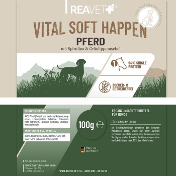 Eine Meeresschildkröte, die mit einer Plastiktüte unter Wasser schwimmt, begleitet von einer Botschaft über Recycling: '1 KG FÜR 2 KG PLASTIK AUS DEM MEER.'