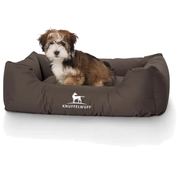 Ein kleiner, flauschiger Hund sitzt in einem gemütlichen braunen Haustierbett, mit dem Logo "KNUFFELWUFF" deutlich auf der Vorderseite.