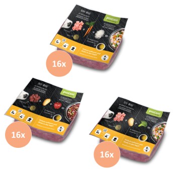 BARF Komplettmenü TK-Blockware Napffertig Probierpaket Geflügel 48x500 g