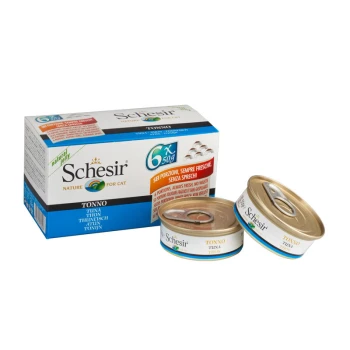 Verpackung von Schesir Katzenfutter mit sechs 50g Dosen Thunfisch, beschriftet mit "TONNO," mit italienischem Text, der "Immer frisch, kein Abfall" besagt.