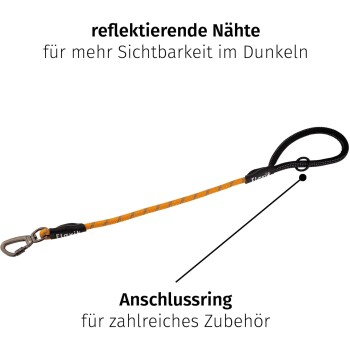 Eine Hundeleine mit reflektierenden Nähten für Sichtbarkeit im Dunkeln, mit einem Verbindungshaken für Zubehör.