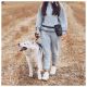 Eine Frau in einem grauen Trainingsanzug führt einen glücklichen sibirischen Husky an der Leine durch ein Feld, während sie eine schwarze Bauchtasche trägt.