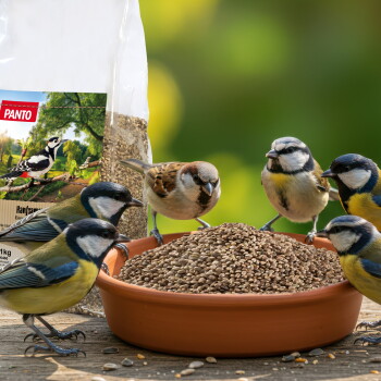 Terrakottaschale mit Vogelfutter, sechs Kleinvögel (Blaumeisen und ein Spatz) fressen; PANTO-Futtersack im Hintergrund.