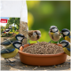 Terrakottaschale mit Vogelfutter, sechs Kleinvögel (Blaumeisen und ein Spatz) fressen; PANTO-Futtersack im Hintergrund.
