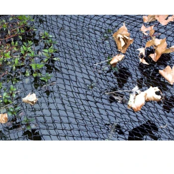 Abdecknetz für Teiche 6x10m Eine Nahaufnahme eines schwarzen Netzgewebes über einem Gewässer, mit verstreuten trockenen Blättern und sichtbaren grünen Wasserpflanzen darunter.
