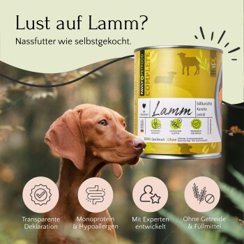 Ein brauner Hund inspiziert neugierig eine Dose "Lamm"-Haustierfutter mit Süßkartoffel, Karotte und Leinsamenöl, das seine hypoallergene Natur hervorhebt.