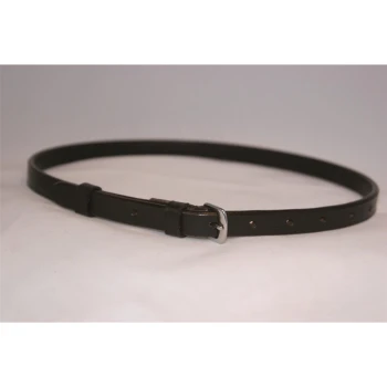 Schwarzes Leder-Haustierhalsband mit silberner Schnalle und Einstelllöchern, auf einem hellen Hintergrund dargestellt.