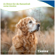 Golden Retriever im hohen Gras, blickt nach rechts; grüner Bannertext: 'So fördert ihr die Gesundheit eures Hundes' und 'Canina'.