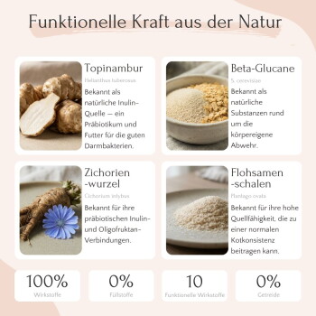 Grafik 'Funktionelle Kraft aus der Natur' — Topinambur, Beta‑Glucane, Zichorienwurzel, Flohsamen; Fußzeile: 100% Wirkstoffe.