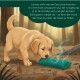 Drei rechteckige Hundekauspielzeuge in Orange, Grün und Marineblau mit kleinen schwarzen Etiketten.