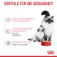 Bild einer Katze und einer Mutterkatze neben einer roten Schüssel mit Royal Canin Katzenfutter, mit Text, der die gesundheitlichen Vorteile für Kätzchen auf Deutsch hervorhebt.