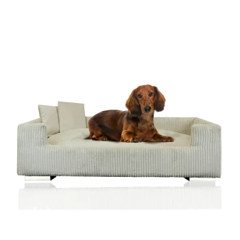 Ein brauner Dackel liegt auf einem plüschigen, hellgrauen Haustiersofa mit zwei kleinen Kissen und zeigt ein modernes Design.