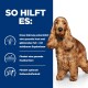 Ein goldener Cocker Spaniel steht vor einem blauen Hintergrund, der die Vorteile von Hundefutter auflistet: gesunde Haut, glänzendes Fell und optimale Stuhlqualität.