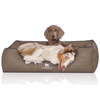 Zwei Hunde liegen bequem auf einem weichen, braunen Haustierbett mit dem Logo "KNUFFELWUFF", das auf der Vorderseite sichtbar ist.